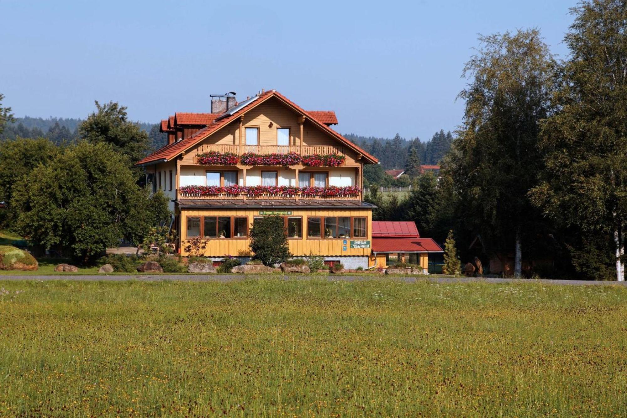 Pension Wiesengrund 纽舒瑙 外观 照片