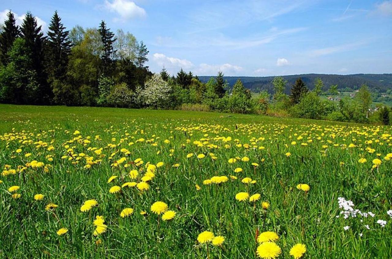 Pension Wiesengrund 纽舒瑙 外观 照片